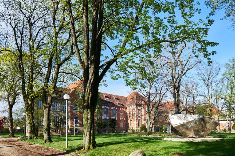 Studiengangskoordinator*in (m/w/d) für englischsprachigen Masterstudiengang / Academic Program Coordinator (50 %) (Teilzeit | Stuttgart)
